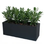 žardinjera za terasu, žardinjera za cvijeće