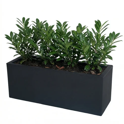 žardinjera za terasu, žardinjera za cvijeće