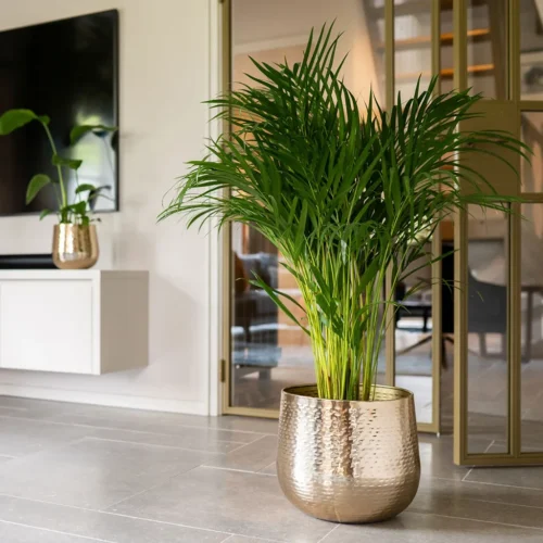 Ukrasna tegla Carly Gold