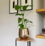 Ukrasna tegla Carly Gold