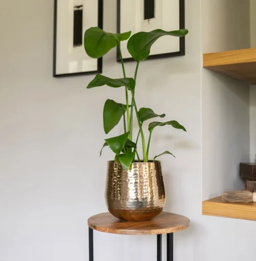 Ukrasna tegla Carly Gold