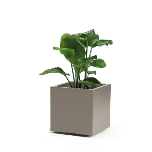 Tegla za biljke Nature 40 x 40 cm taupe smeđa
