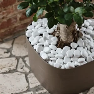 Bijelo kamenje s UV zaštitom 25 x 25 cm