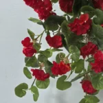 Umjetna viseća crvena geranija 80 cm UV za balkon i terasu