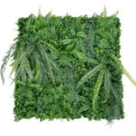 Zeleni zid Jungle 100×100 UV