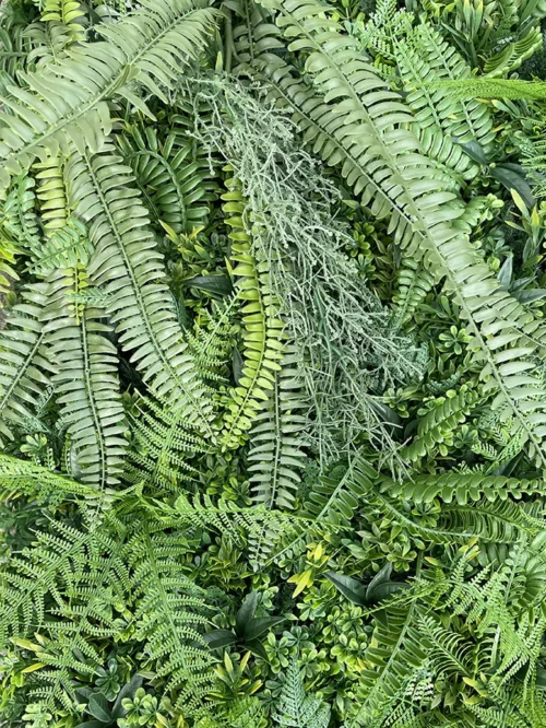 Zeleni zid Jungle 100×100 UV
