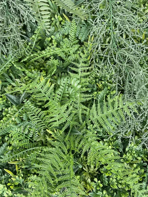 Zeleni zid Jungle 100×100 UV