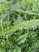 Zeleni zid Jungle 100×100 UV