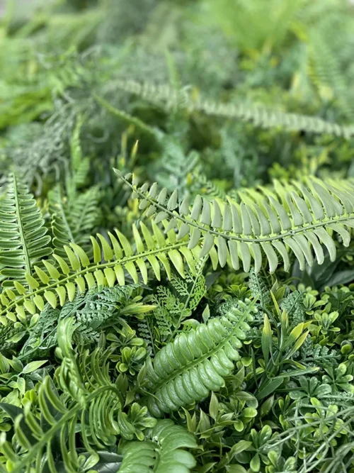 Zeleni zid Jungle 100×100 UV