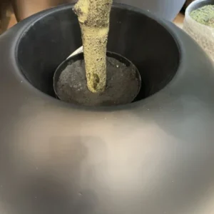Detalj crne ukrasne tegle Mono Black od fiberglasa s modernom zaobljenom formom