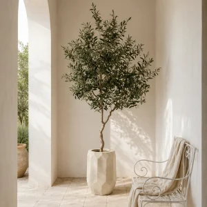 Umjetne masline u svijetloj tegli u prozračnom mediteranskom hodniku obasjanom prirodnim svjetlom.